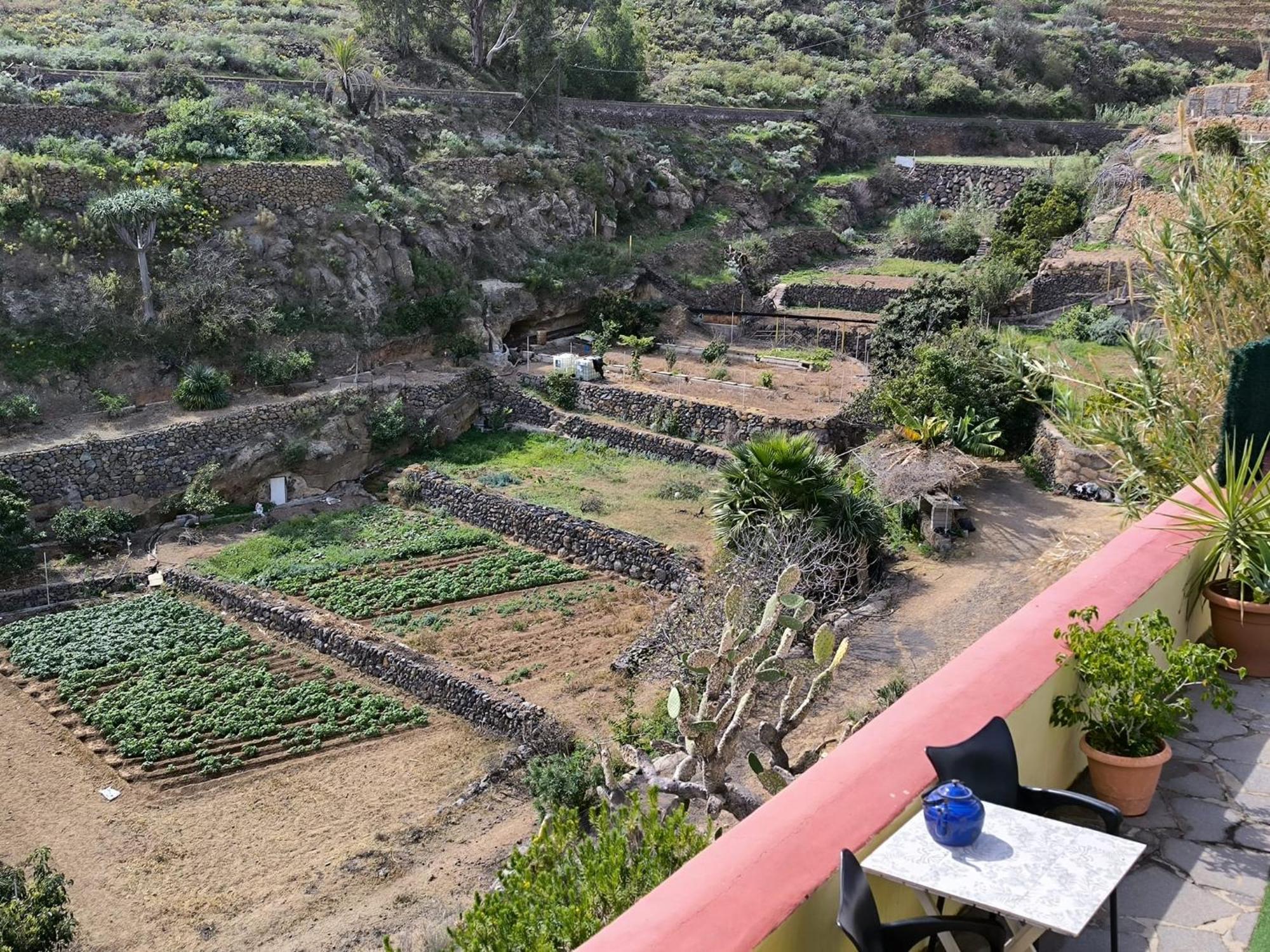 Hotel Rural La Raya 1866 Güimar Eksteriør billede